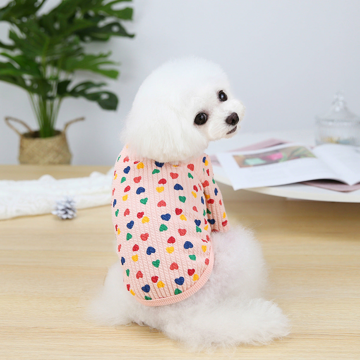KFX-1312317 Stylish Two-Legged Pet Shirt in White or Pink with Love Design