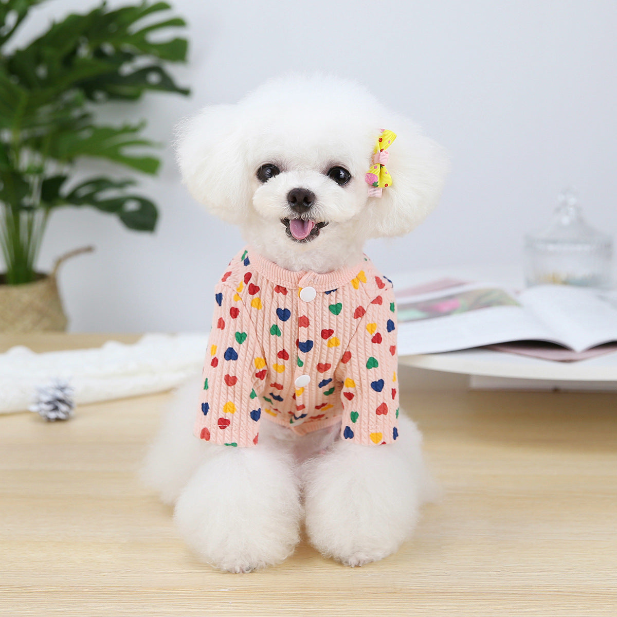 KFX-1312317 Stylish Two-Legged Pet Shirt in White or Pink with Love Design