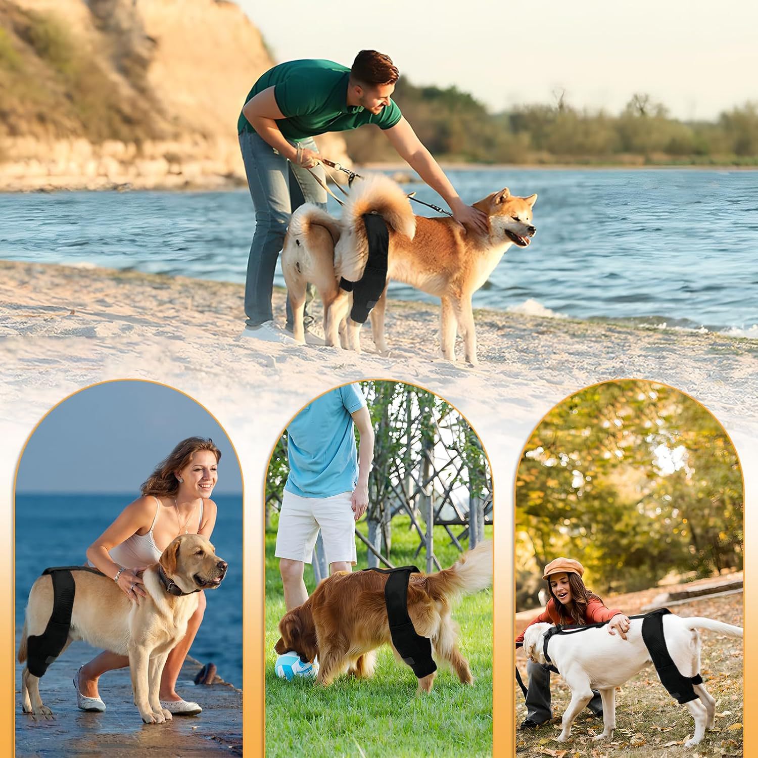 KFX-1313341 Dog Knee Brace with Auxiliary Belt for Joint Support and Protection