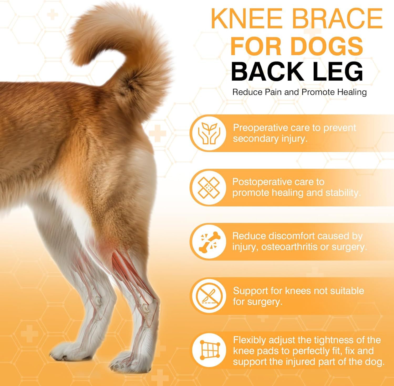 KFX-1313341 Dog Knee Brace with Auxiliary Belt for Joint Support and Protection