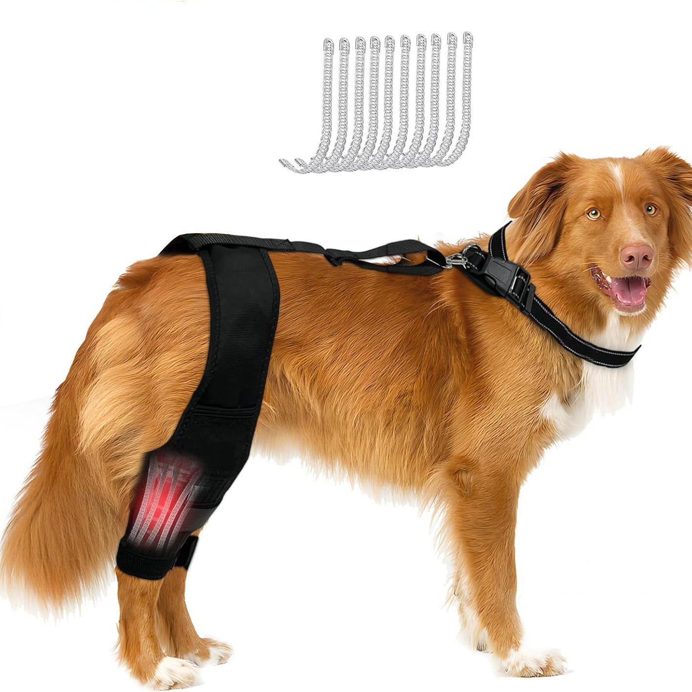 KFX-1313341 Dog Knee Brace with Auxiliary Belt for Joint Support and Protection