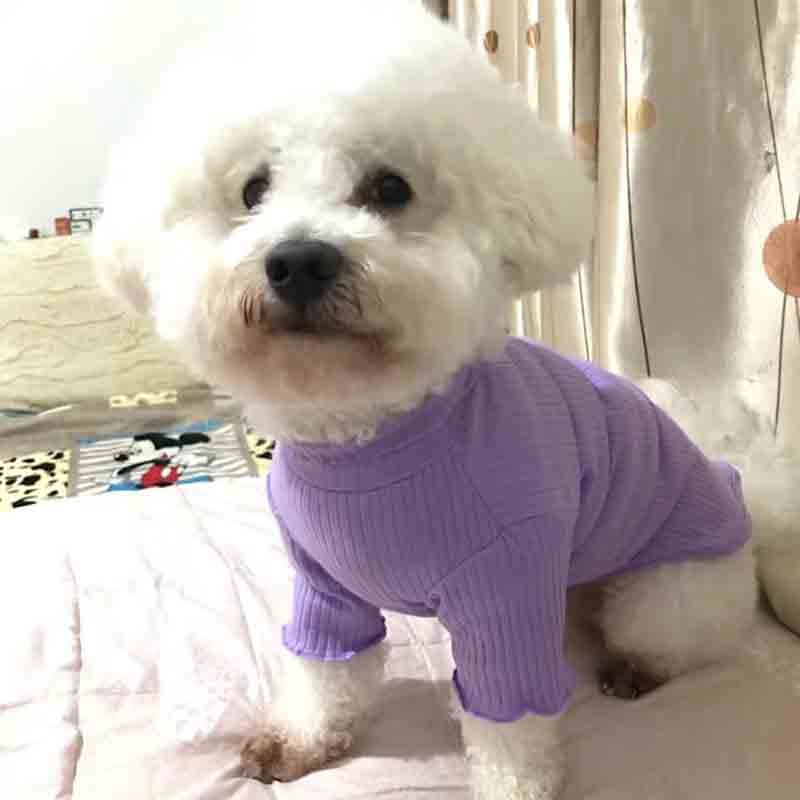 KFX-1316285 Teddy Cat and Pomeranian Dog Bottom Shirt - Comfortable Cotton Summer Wear for Small Pets