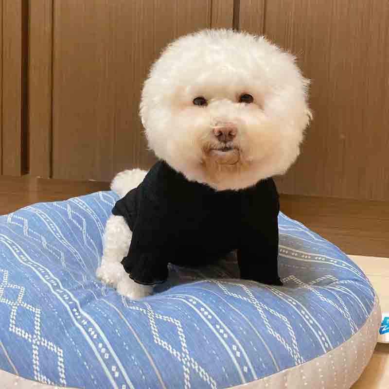 KFX-1316285 Teddy Cat and Pomeranian Dog Bottom Shirt - Comfortable Cotton Summer Wear for Small Pets