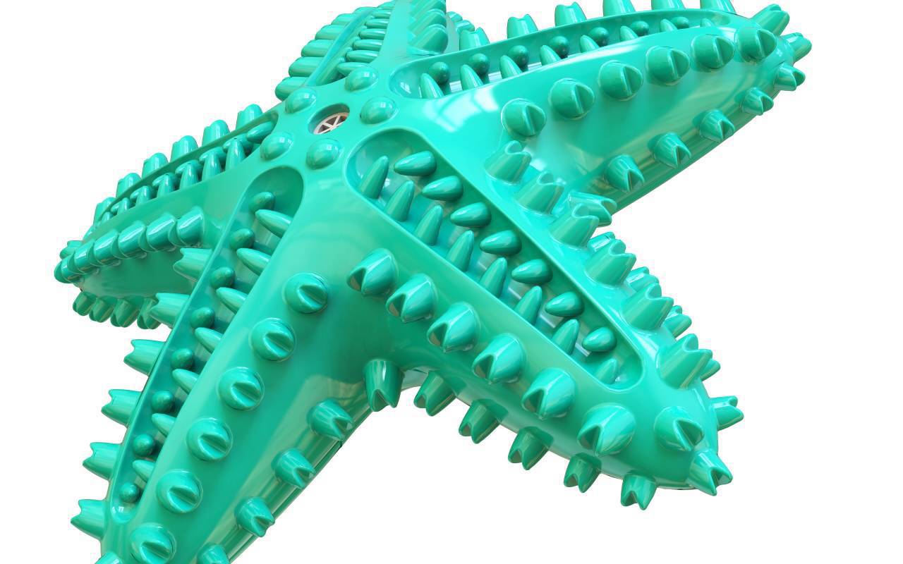 KFX-1316541 Starfish Molar Stick Dog Toy for Teeth Cleaning and Chewing Fun