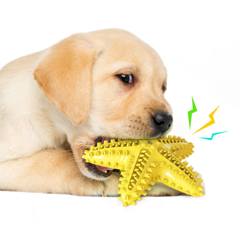 KFX-1316541 Starfish Molar Stick Dog Toy for Teeth Cleaning and Chewing Fun
