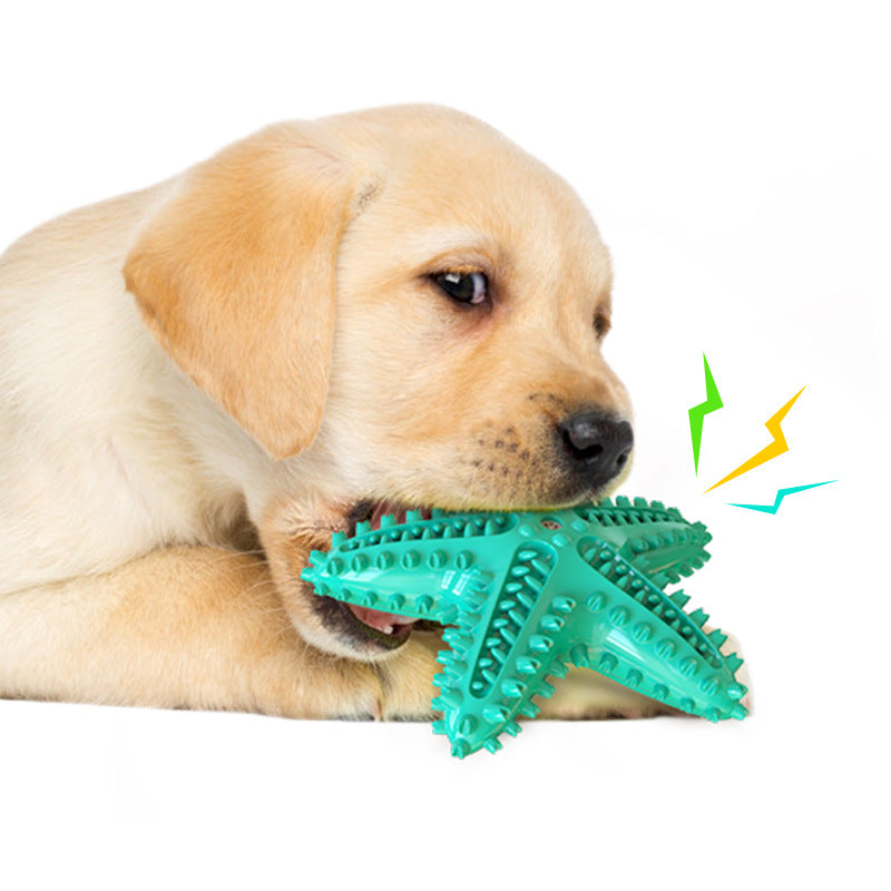 KFX-1316541 Starfish Molar Stick Dog Toy for Teeth Cleaning and Chewing Fun