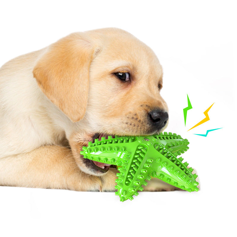KFX-1316541 Starfish Molar Stick Dog Toy for Teeth Cleaning and Chewing Fun