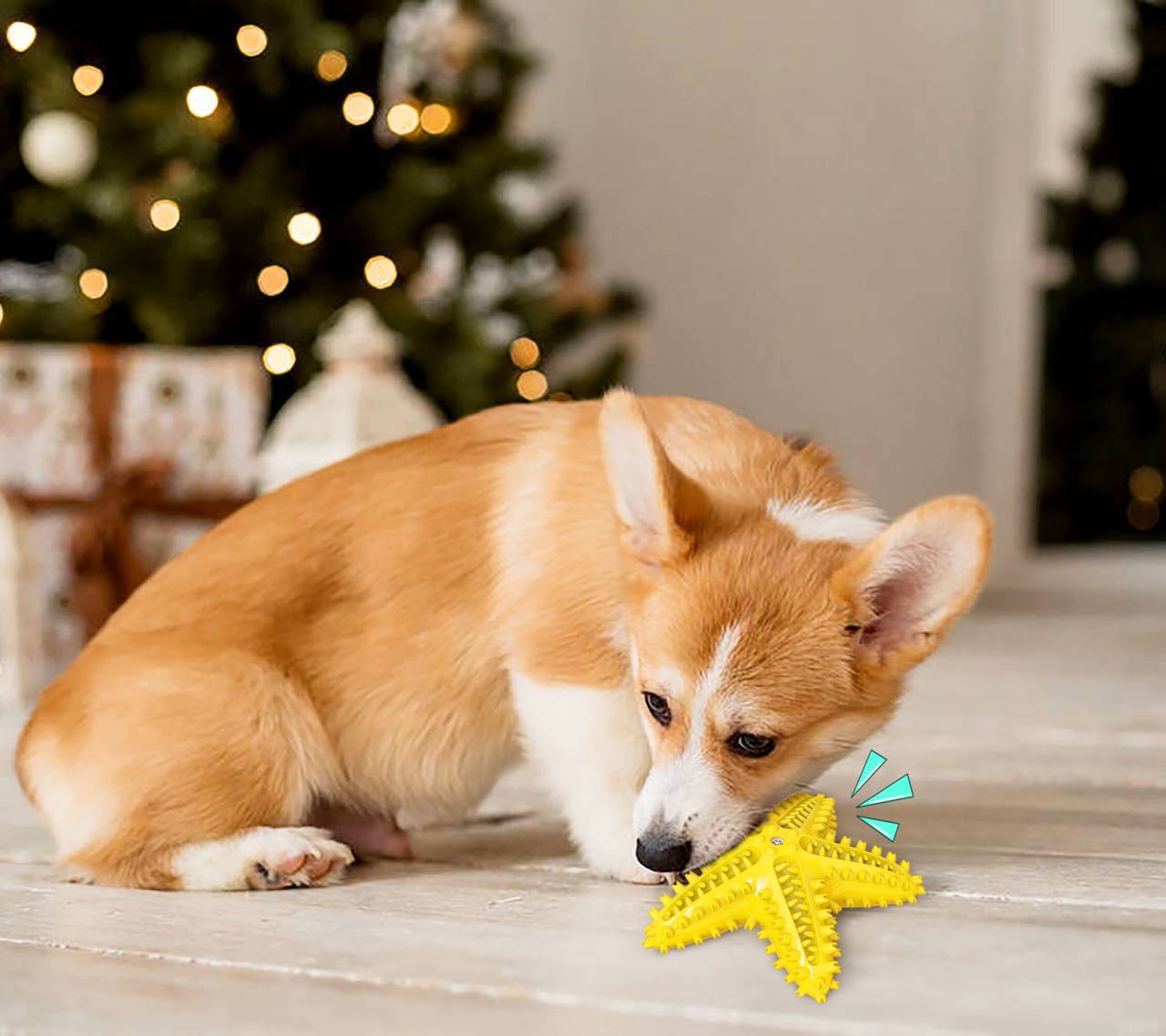 KFX-1316541 Starfish Molar Stick Dog Toy for Teeth Cleaning and Chewing Fun