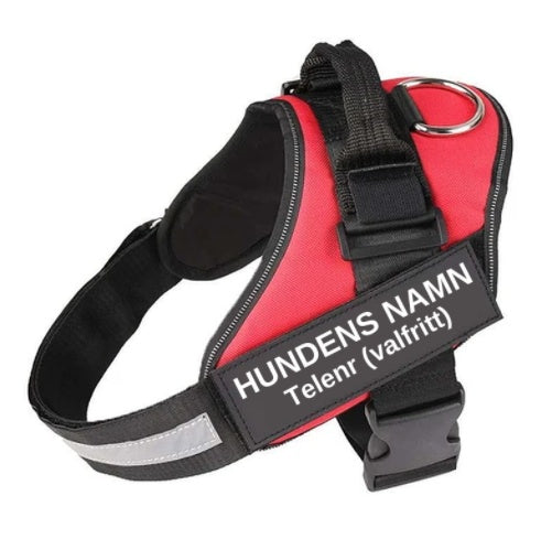 KFX-1320765 Adjustable Nylon Dog and Cat Chest Strap with Leash, Multiple Sizes Available