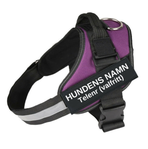 KFX-1320765 Adjustable Nylon Dog and Cat Chest Strap with Leash, Multiple Sizes Available