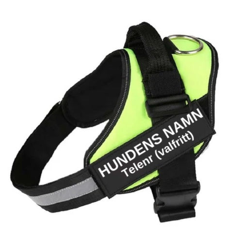 KFX-1320765 Adjustable Nylon Dog and Cat Chest Strap with Leash, Multiple Sizes Available