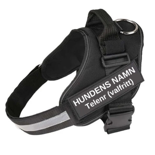 KFX-1320765 Adjustable Nylon Dog and Cat Chest Strap with Leash, Multiple Sizes Available