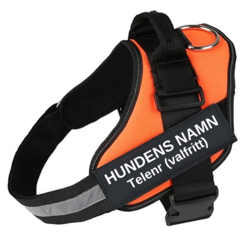 KFX-1320765 Adjustable Nylon Dog and Cat Chest Strap with Leash, Multiple Sizes Available
