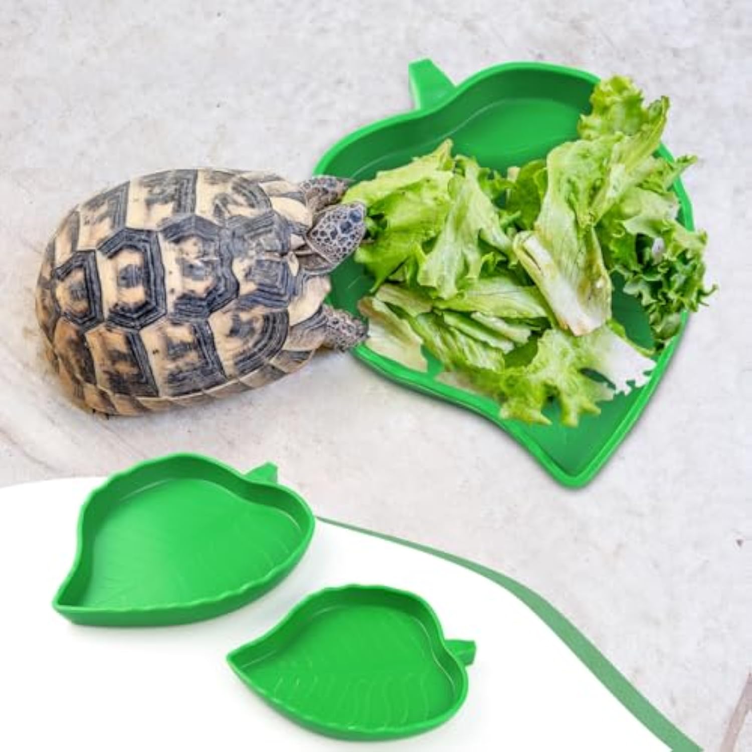KFX-1321661 Reptile Food and Water Dish Set for Tortoises, Lizards, Bearded Dragons, and Small Snakes - 2 Sizes Available