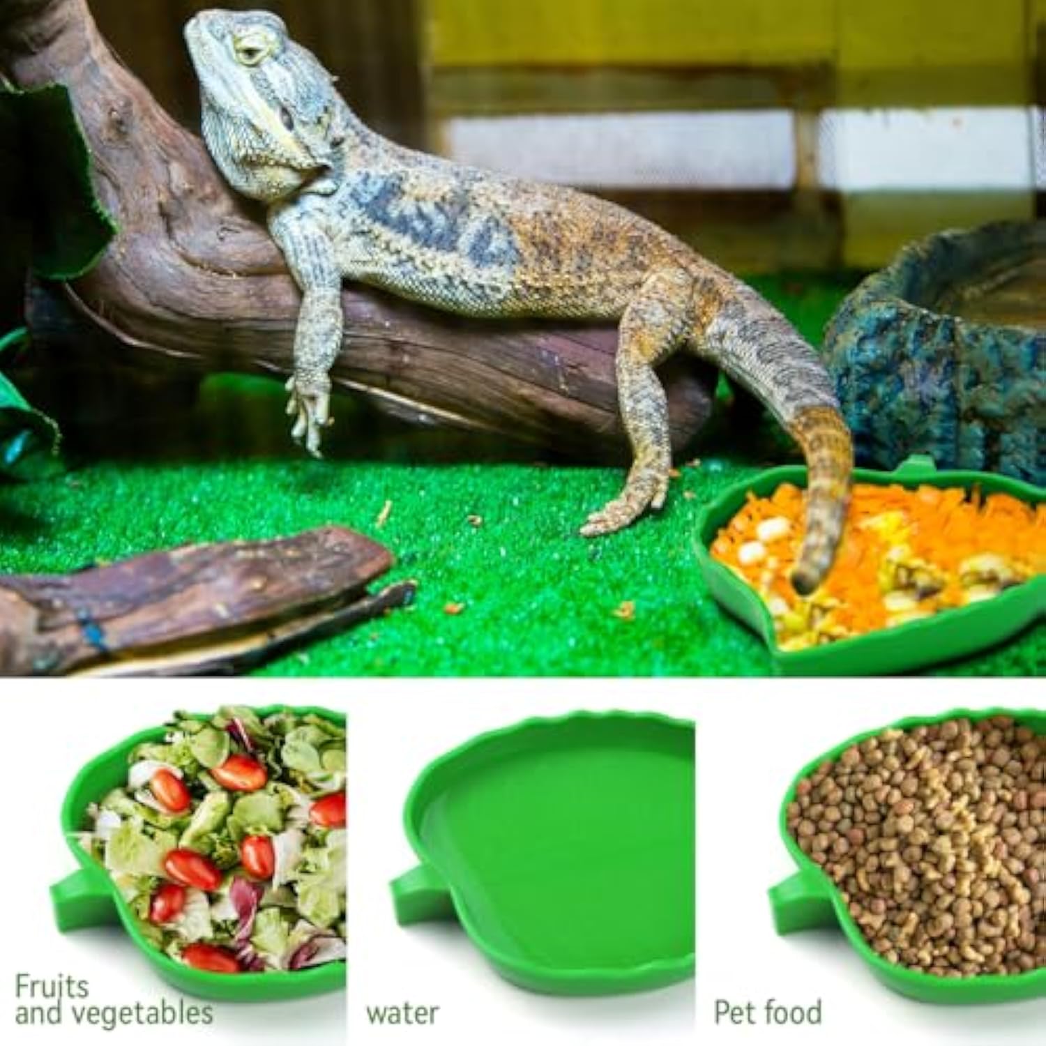 KFX-1321661 Reptile Food and Water Dish Set for Tortoises, Lizards, Bearded Dragons, and Small Snakes - 2 Sizes Available