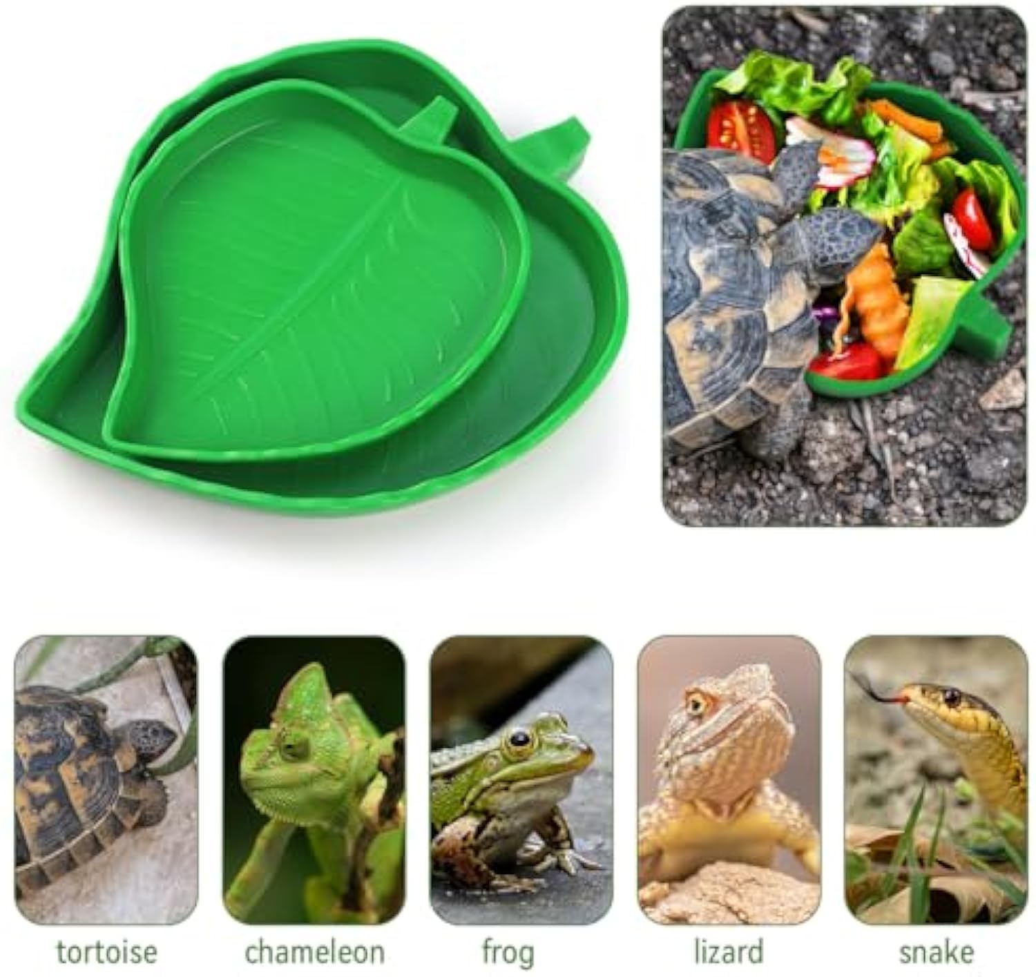 KFX-1321661 Reptile Food and Water Dish Set for Tortoises, Lizards, Bearded Dragons, and Small Snakes - 2 Sizes Available