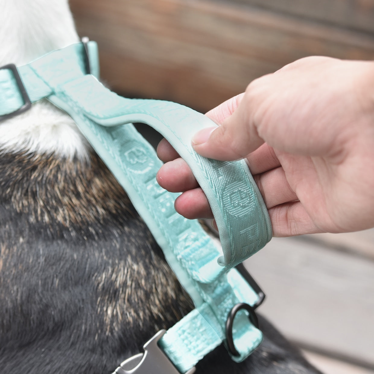 KFX-1328701 Adjustable Embroidered Jacquard Dog Harness for Comfort and Safety