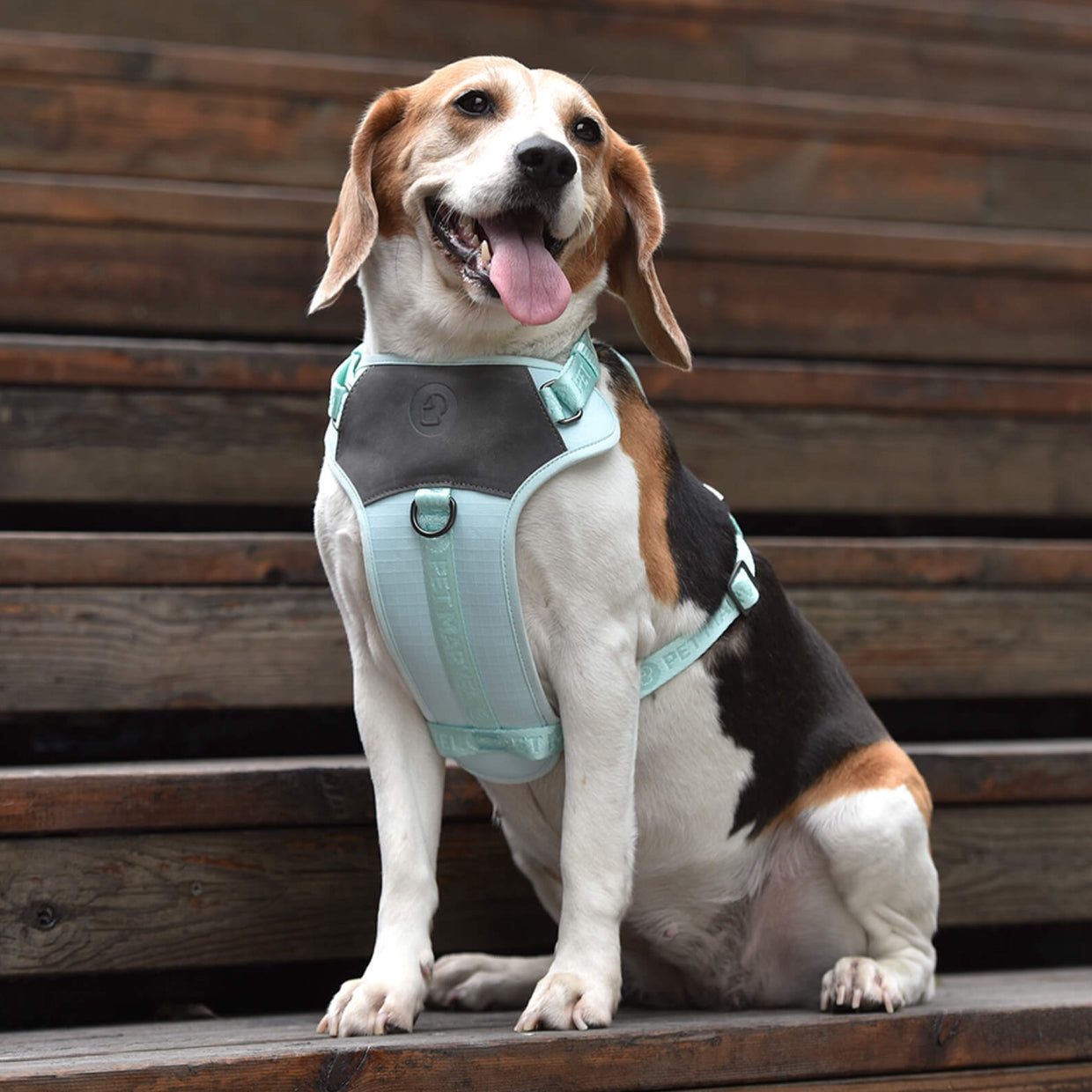 KFX-1328701 Adjustable Embroidered Jacquard Dog Harness for Comfort and Safety