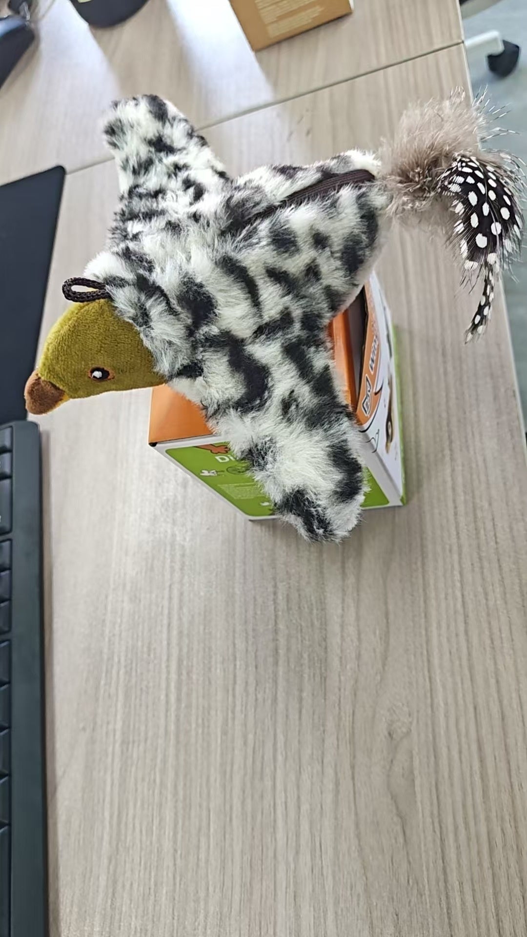 KFX-1333821 Vibrating Plush Cat Toy with Sound Sensation - Assorted Bird Designs