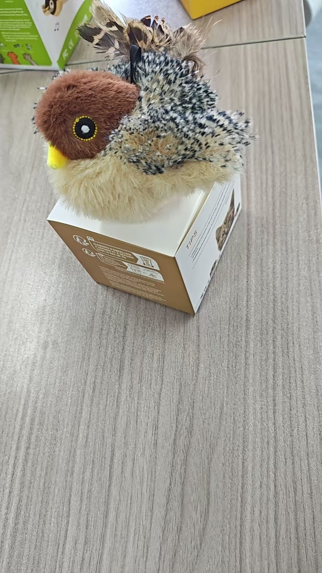 KFX-1333821 Vibrating Plush Cat Toy with Sound Sensation - Assorted Bird Designs