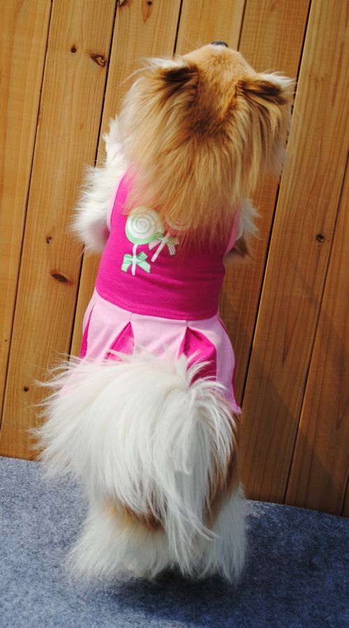 KFX-1341117 Cotton Summer Dress for Dogs and Cats - Princess Style, Multiple Sizes Available