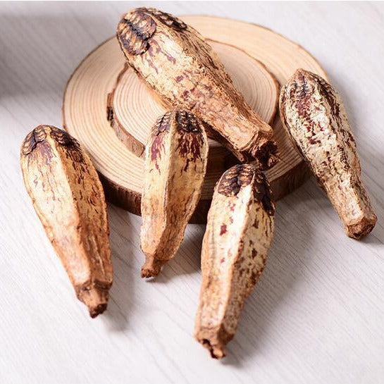 KFX-1341373 Dried Carambola Core Toy for Pet Birds - Edible Wooden Accessory