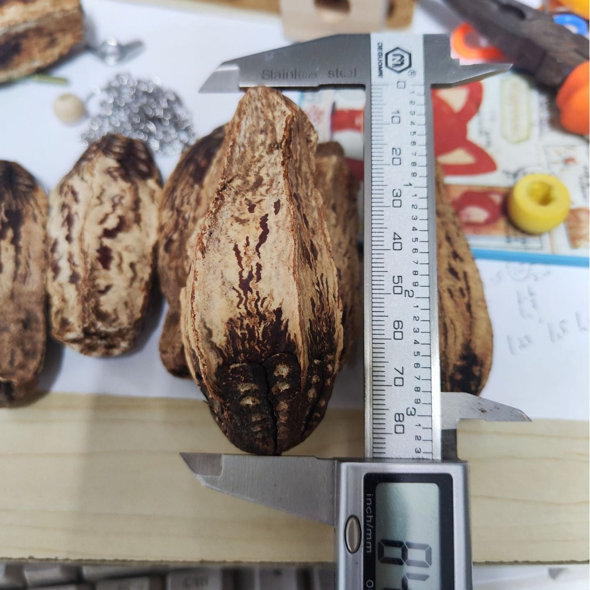 KFX-1341373 Dried Carambola Core Toy for Pet Birds - Edible Wooden Accessory