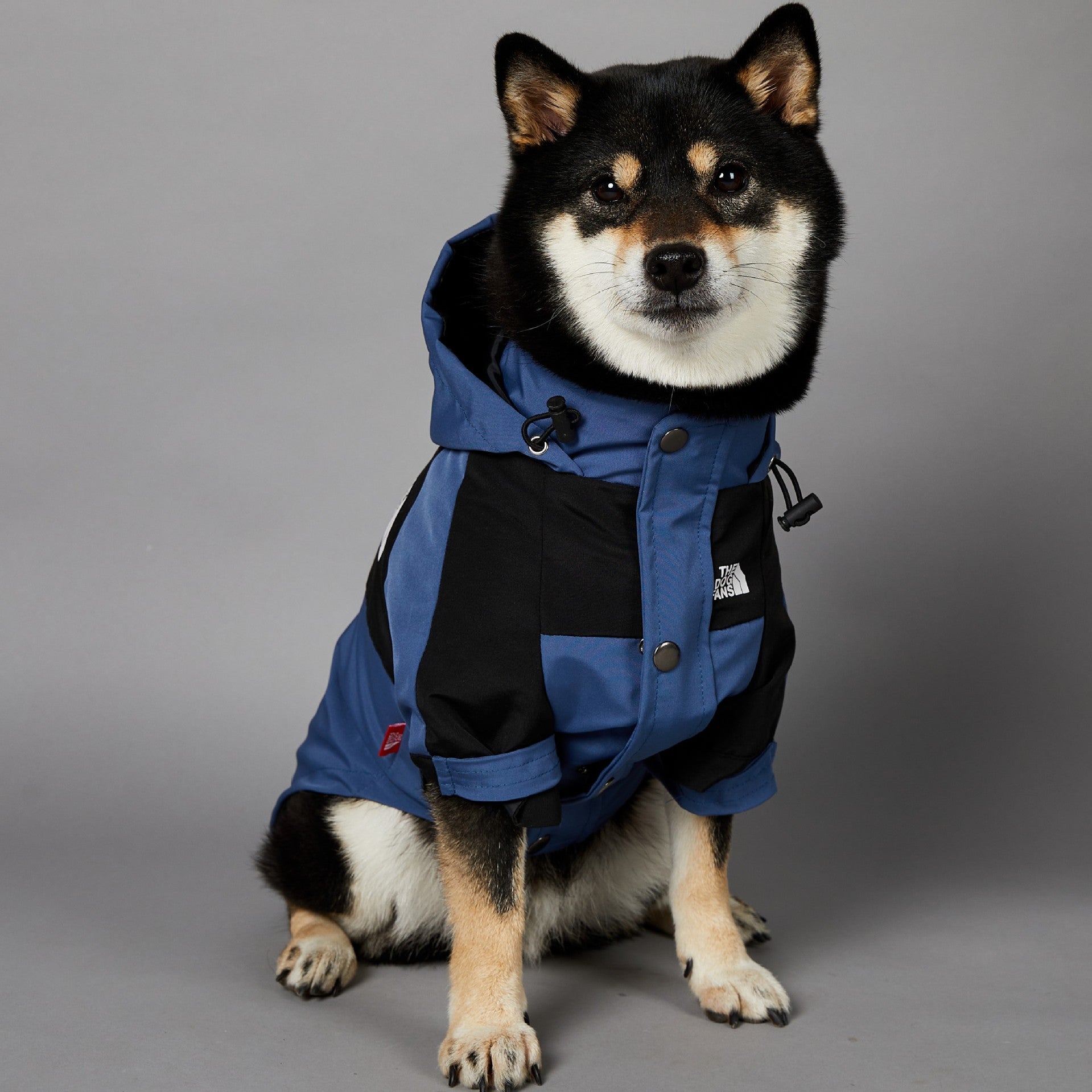 KFX-1346109 Durable Blue Denim Raincoat for Large Dogs - Windproof and Waterproof Pet Jacket