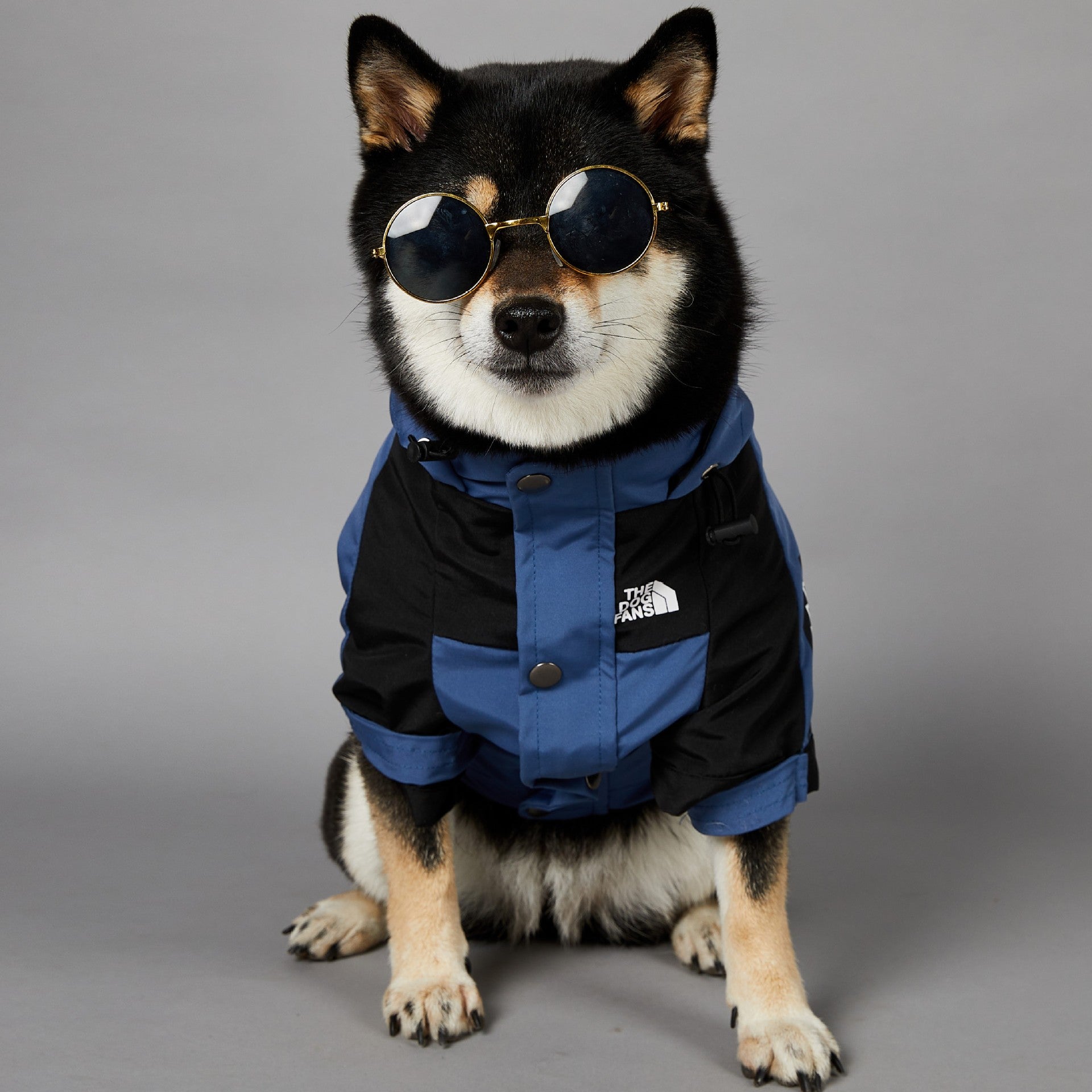 KFX-1346109 Durable Blue Denim Raincoat for Large Dogs - Windproof and Waterproof Pet Jacket