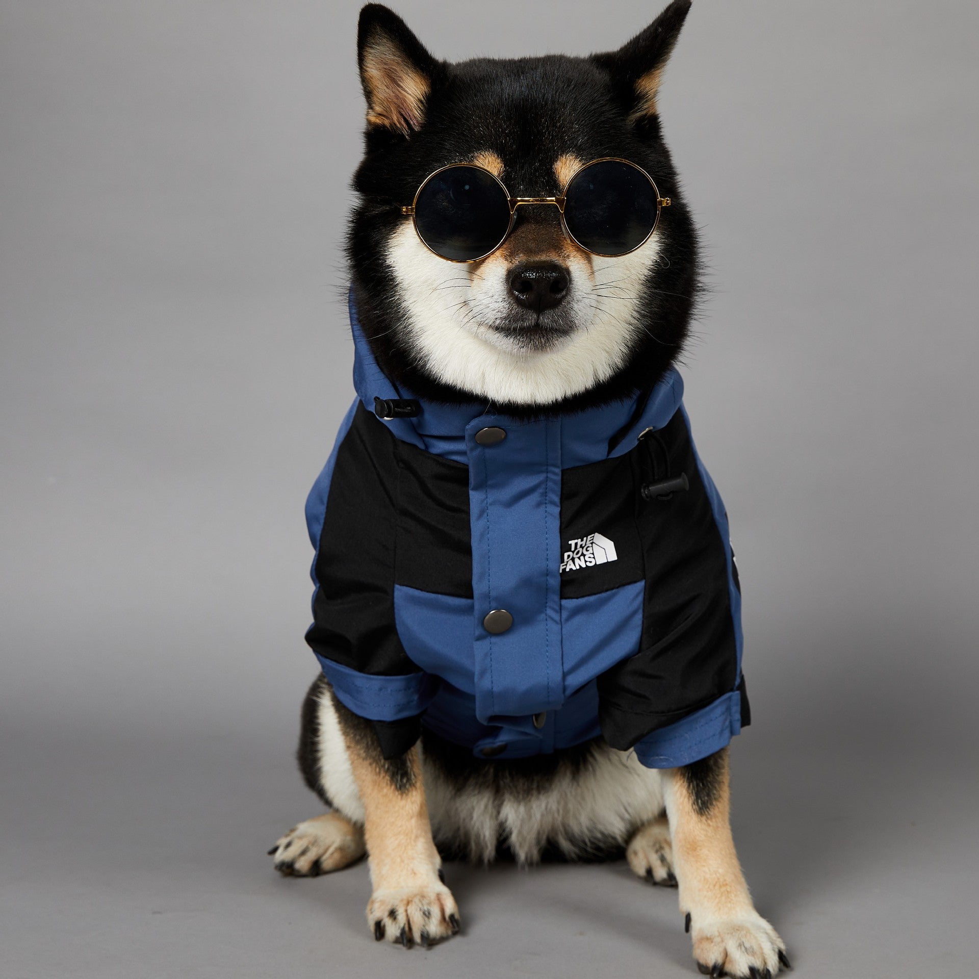 KFX-1346109 Durable Blue Denim Raincoat for Large Dogs - Windproof and Waterproof Pet Jacket