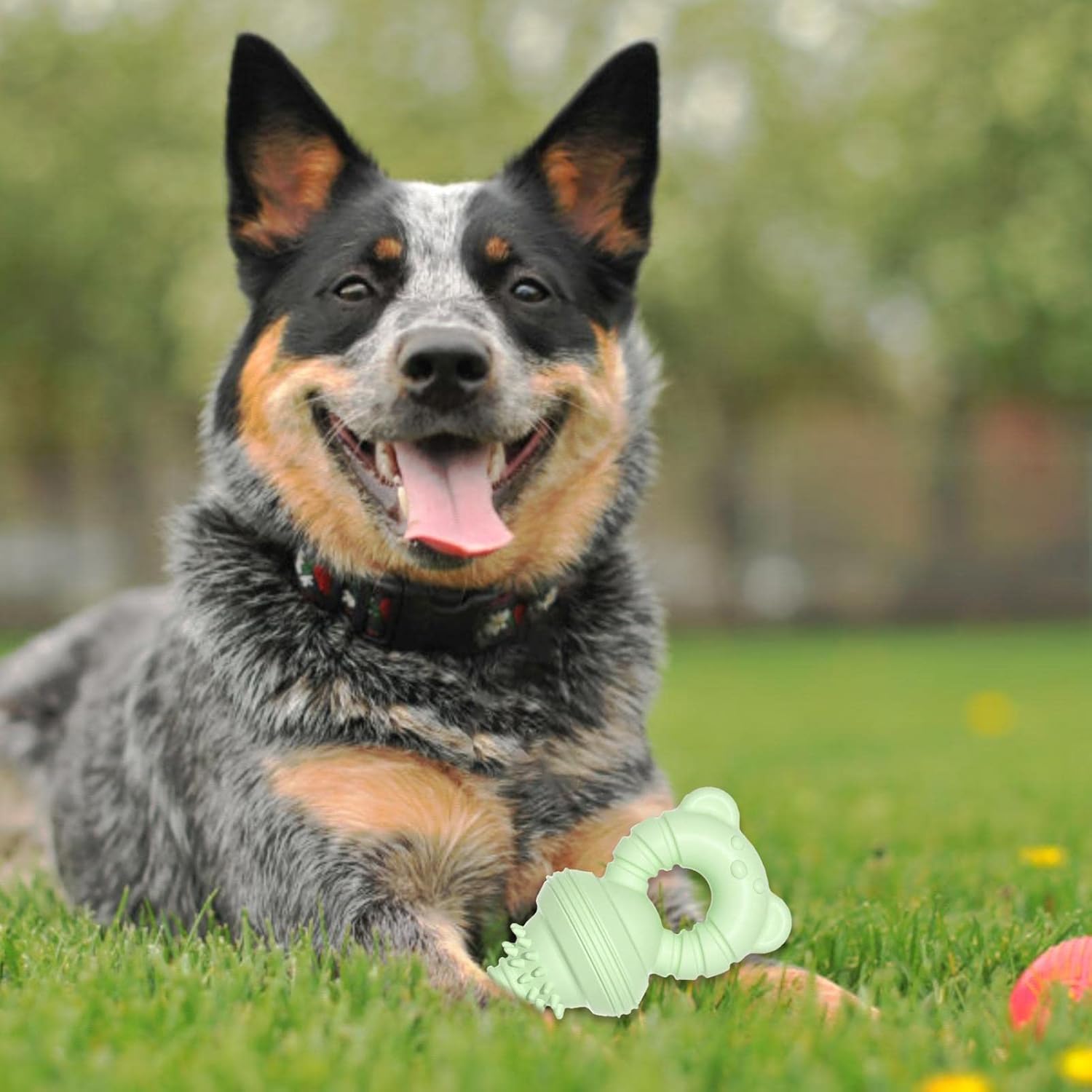 KFX-1351741 Durable Teeth Cleaning Rubber Chew Toy for Dogs and Cats - Ideal for Aggressive Chewers