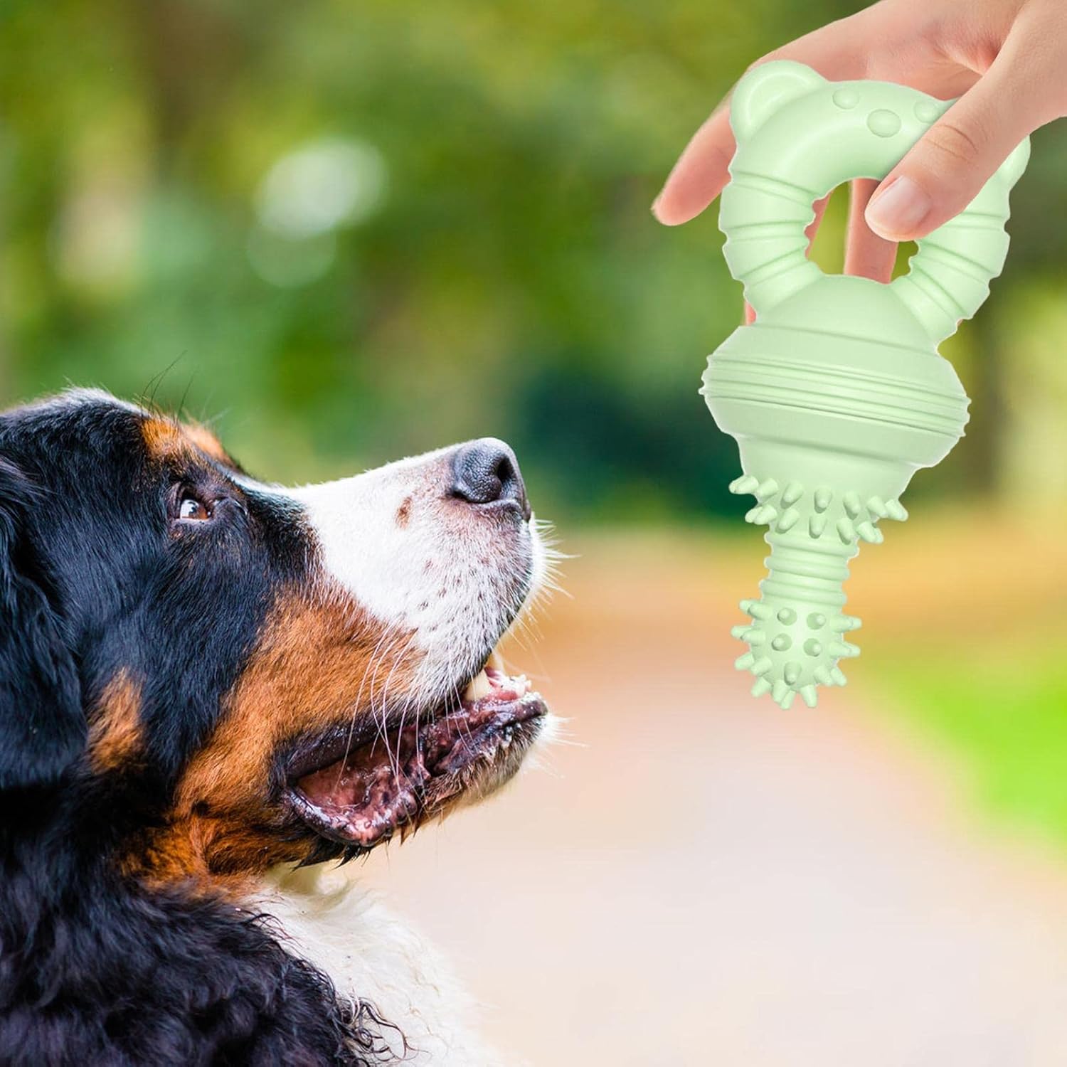 KFX-1351741 Durable Teeth Cleaning Rubber Chew Toy for Dogs and Cats - Ideal for Aggressive Chewers