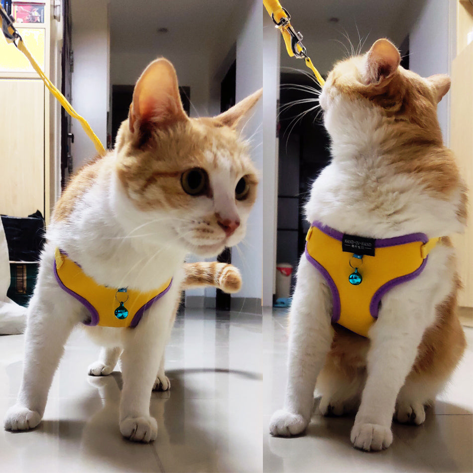 KFX-1353533 Breathable PU Mesh Vest-Style Harness with Adjustable Straps and Durable Copper Bell for Pets