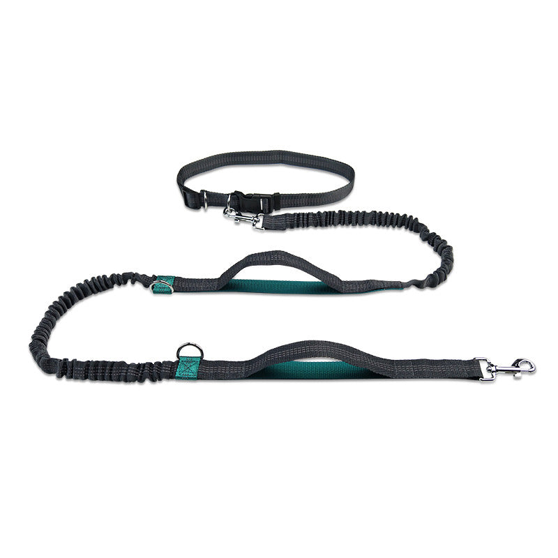 KFX-1354045 Reflective Telescopic Dog Leash with Adjustable Traction Belt in Multiple Colors