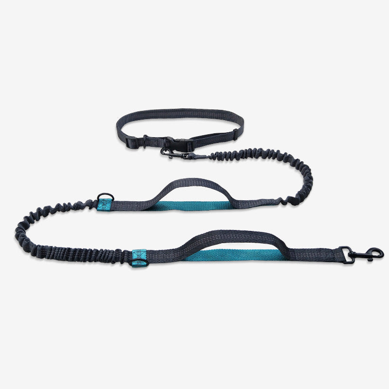KFX-1354045 Reflective Telescopic Dog Leash with Adjustable Traction Belt in Multiple Colors