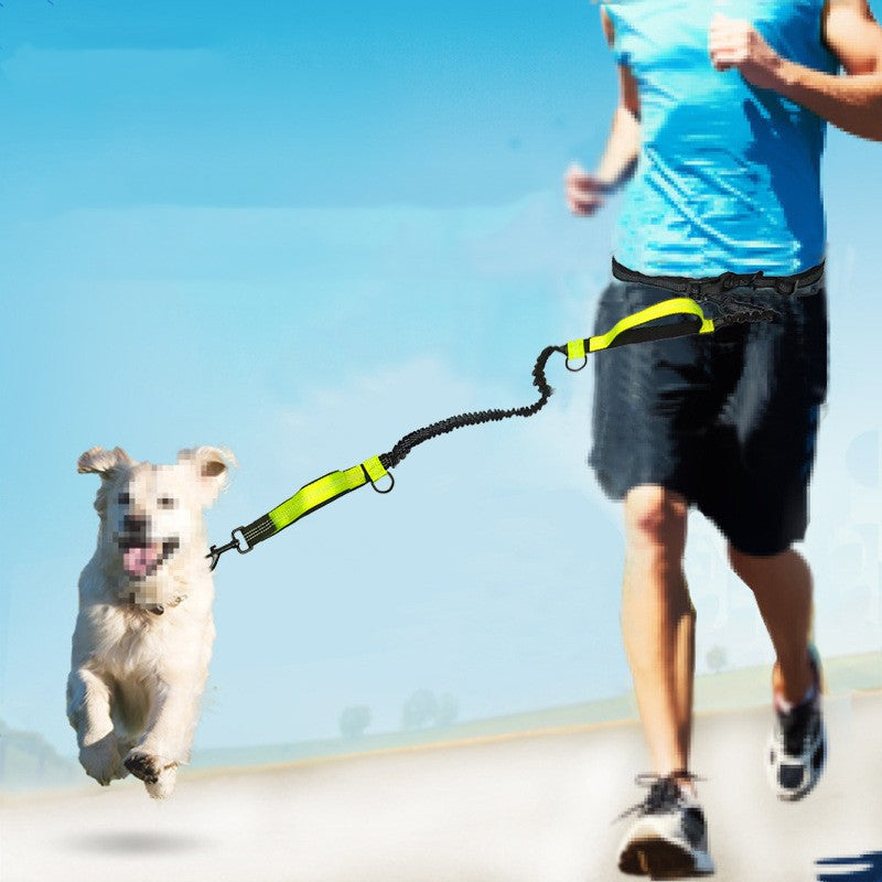 KFX-1354045 Reflective Telescopic Dog Leash with Adjustable Traction Belt in Multiple Colors