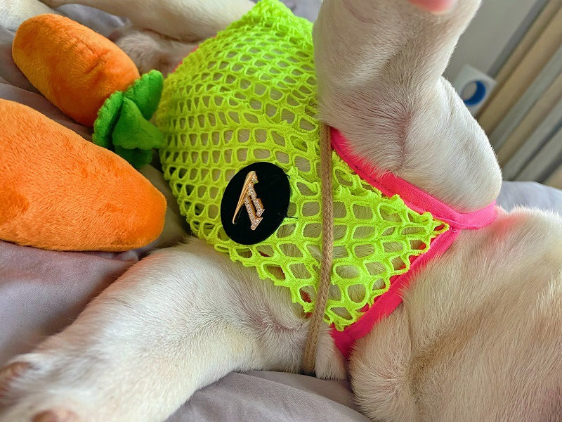 KFX-1354813 Summer Breathable Sun Protection Vest for Dogs - Orange and Green, Multiple Sizes Available