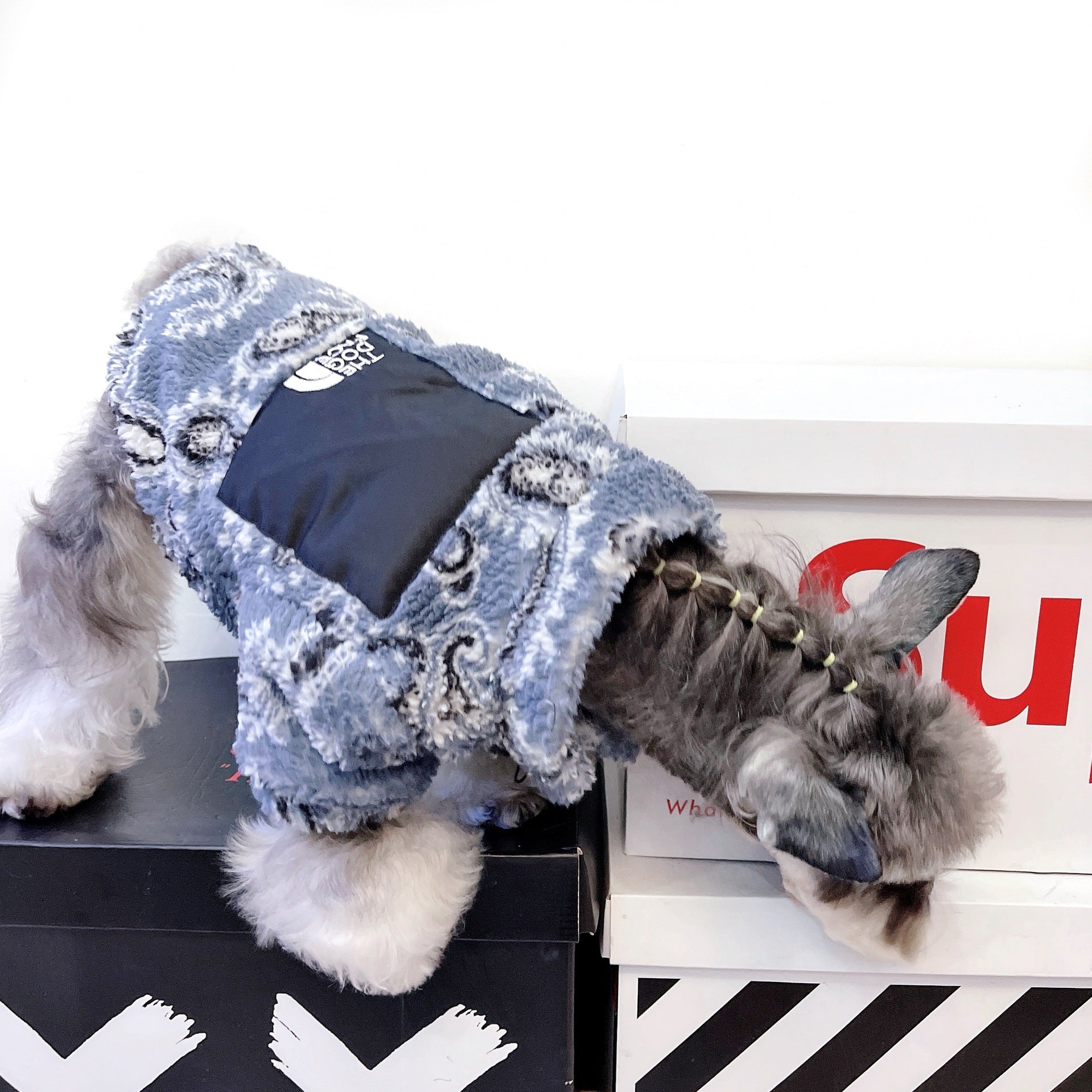 KFX-1358397 Cozy Velvet Clothing for Cats and Small Dogs in Multiple Sizes
