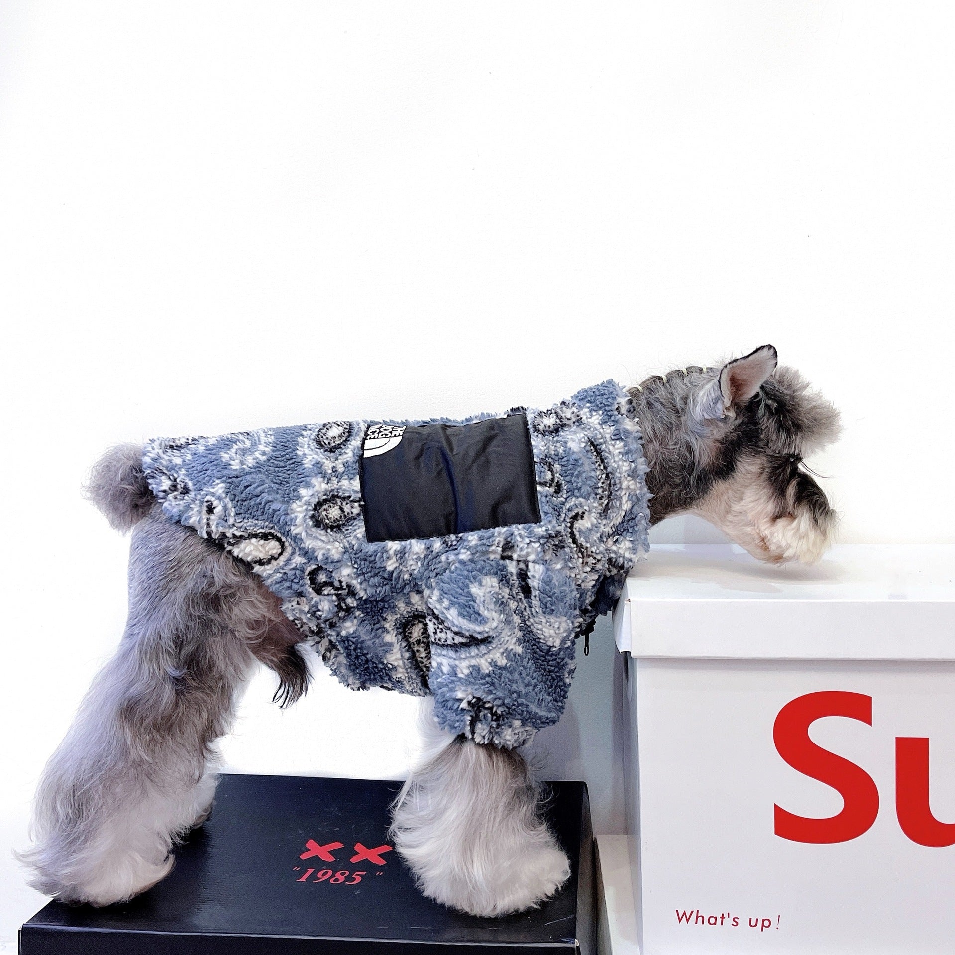 KFX-1358397 Cozy Velvet Clothing for Cats and Small Dogs in Multiple Sizes