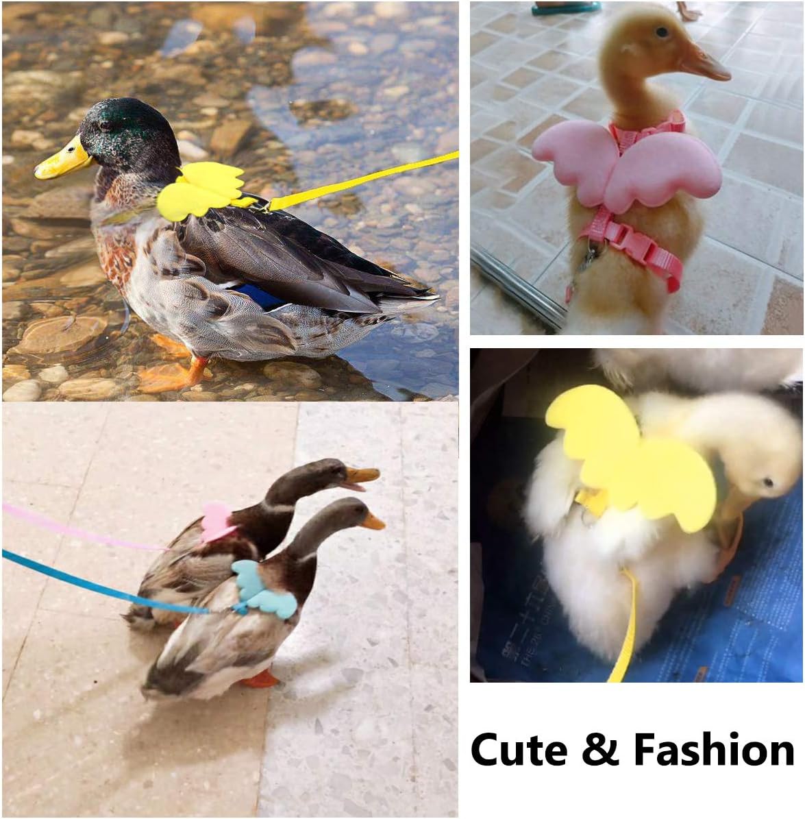 KFX-1361469 Adjustable Harness with Wings and Leash for Chickens, Ducks, Geese, Hens, and Small Pets