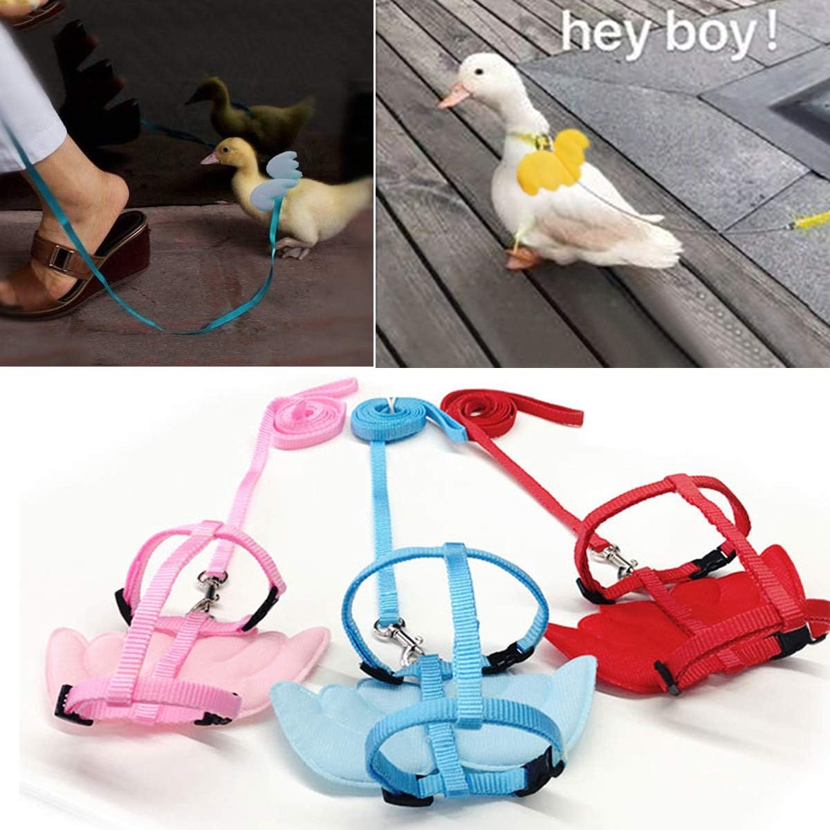 KFX-1361469 Adjustable Harness with Wings and Leash for Chickens, Ducks, Geese, Hens, and Small Pets