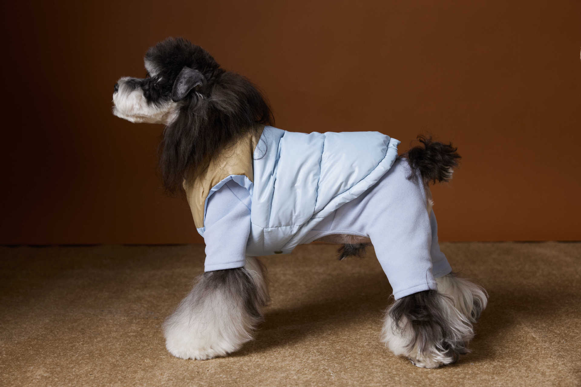 KFX-1364541 Autumn and Winter Down Vest for Pets - Stylish Casual Vest in Blue and Pink