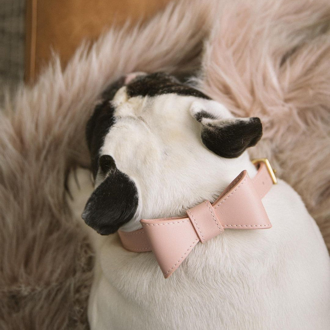 KFX-1365053 Cute Bow Collar and Leash Set for Pets - Fashionable Cotton Design in Blue and Pink