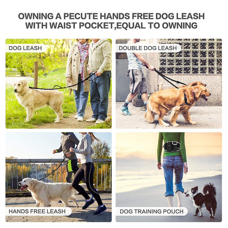 KFX-1367997 Hands-Free Dog Training Leash with Adjustable Waist Bag for Treats and Essentials