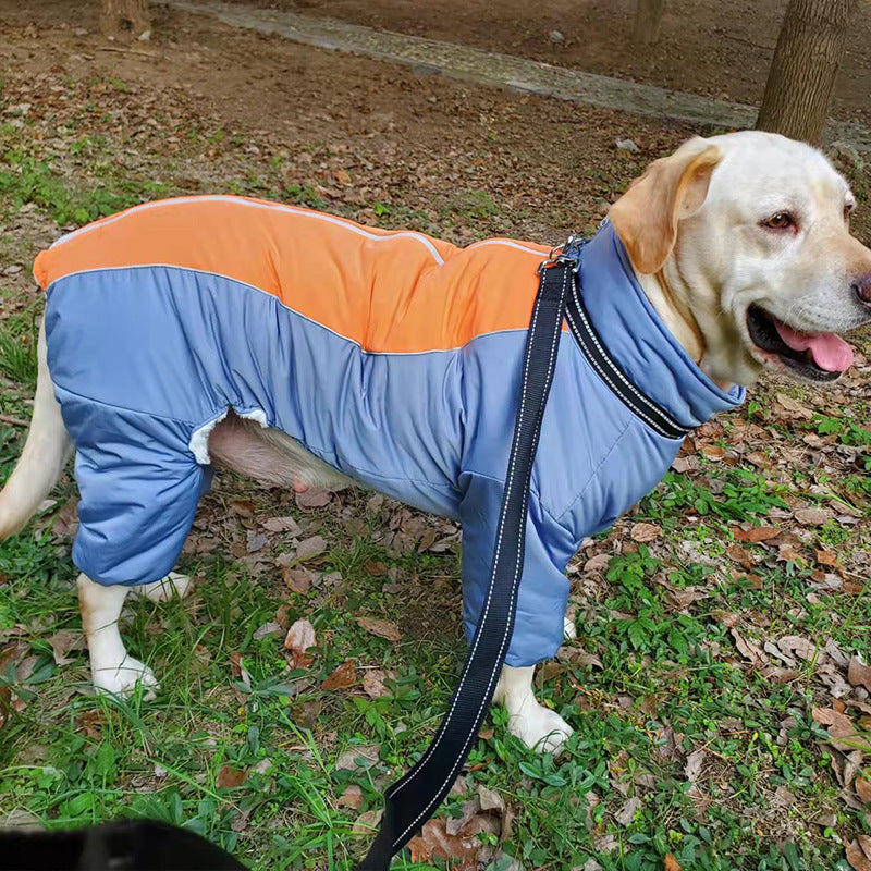 KFX-1370173 Cozy Cotton Coat for Medium and Large Dogs - Coral Fleece in Apple Green and Haze Blue