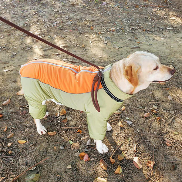 KFX-1370173 Cozy Cotton Coat for Medium and Large Dogs - Coral Fleece in Apple Green and Haze Blue