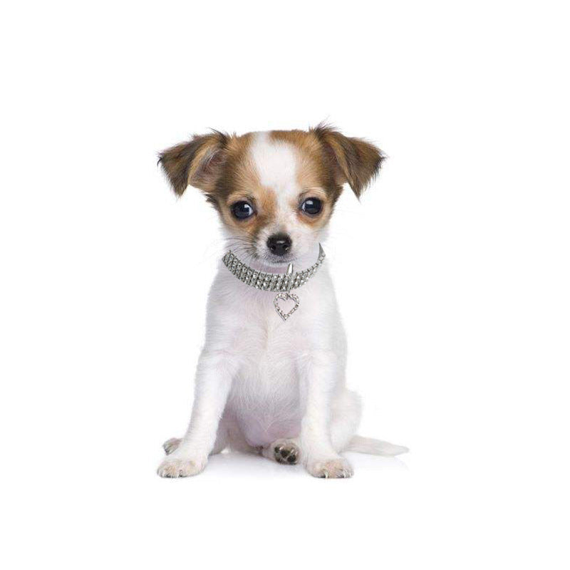 KFX-1373501 Heart Shaped Metal Pet Necklace - Adjustable Size for All Seasons