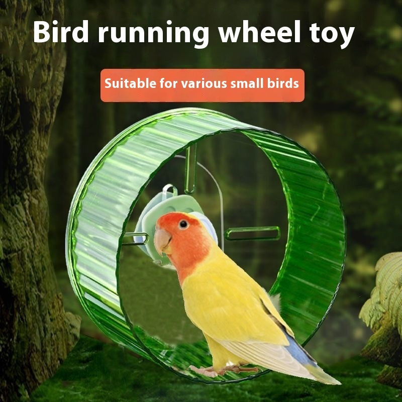 KFX-1376317 Bird Running Wheel Exercise Toy - Sturdy Plastic Treadmill for Small Birds, Various Colors and Sizes Available