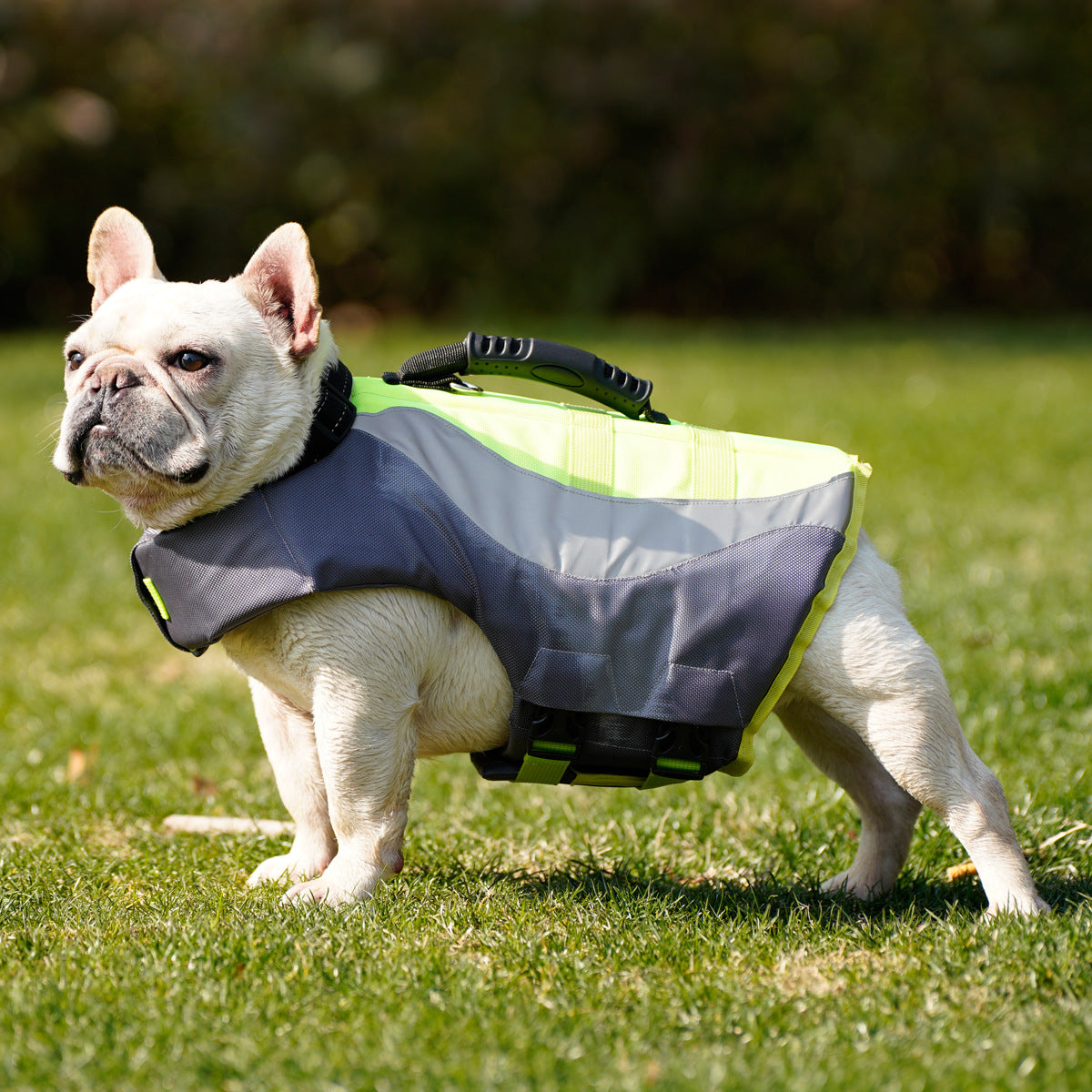 KFX-1378877 Adjustable Reflective Dog Life Jacket for Safe Swimming - Orange & Green Sizes XS-XXL
