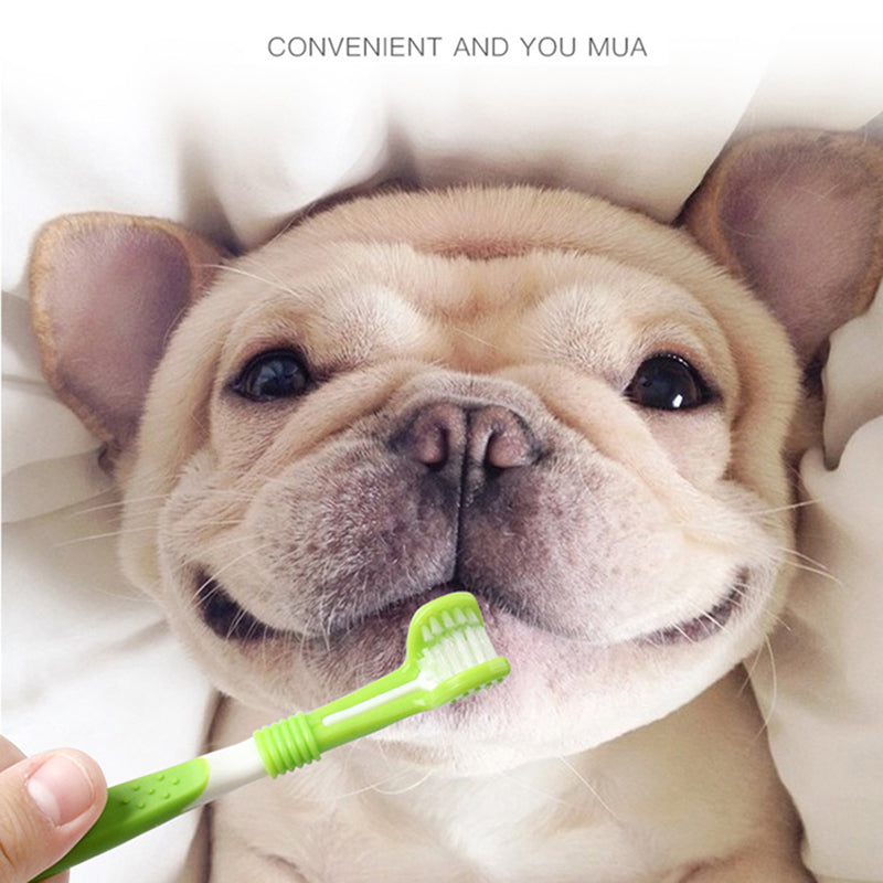 KFX-1379133 Triple-Head Pet Silicone Finger Toothbrush Kit for Gentle Dog Dental Care